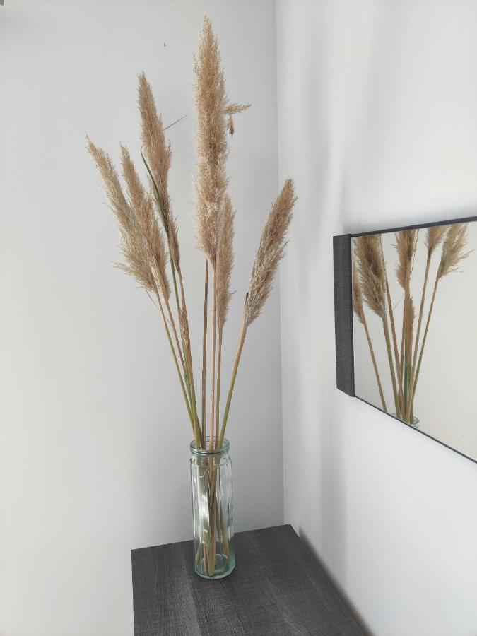 Appartement T3 Plume Hyper Centre D'Ernée Eksteriør bilde